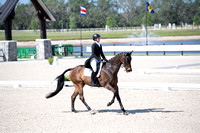 Fleming, Janelle, Fly Me Courageous, CCI4-S