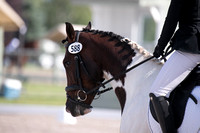 Maya Ramkowsky and Born To Love You,Jr. Open Novice B