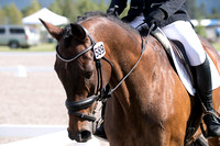 Addison Maxwell and Abslewtly Grandeur,Jr. Open Novice B