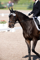 Lauren Jester and Namaste,Jr. Open Novice A