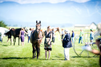 Laura Leitch and Lamartine Z,Training Three-Day B