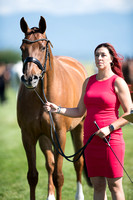 Jenny Holbrook and Alchemist II,Training Three-Day B