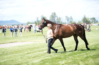 Elizabeth Linde and Pie and Ice Cream,CCI2*-Long