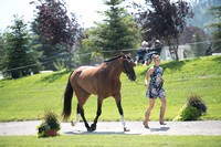 Rachael Wood and Standing Ovation,CCI2*-Long