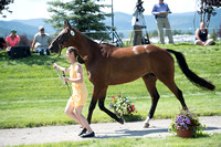 Kelly Bose and Wellington,CCI2*-Long