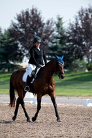 Norman, Heather, Full Gallop's Dolce, Beg Nov Amt Ch