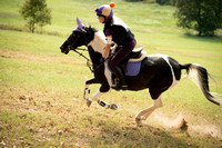 AEC, American Eventing Championships, 2014, Tyler, Texas