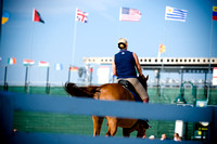 World Equestrian Games, WEG , Kentucky, 2010