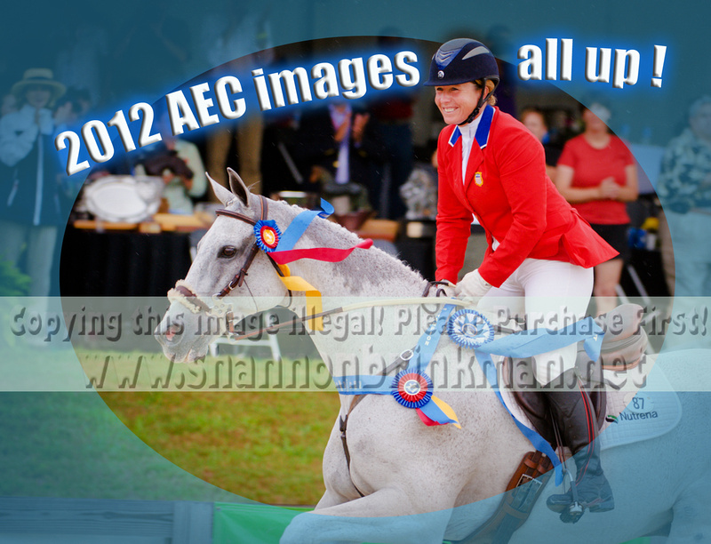 shannon brinkman AEC, American Eventing Championships