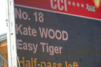wood, kate, easy tiger nzl