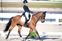 Sanger, Cassie, Fernhill Zoro, CCI4-S