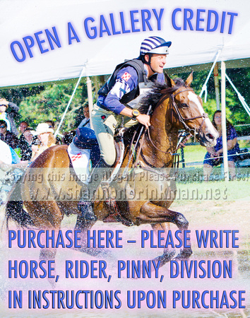 OPEN A Gallery -- Please write rider, horse, pinny # & division in instructions.