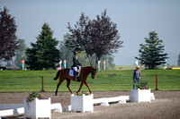 Martello, Carrie, Thaddaeus, Sr. Open Novice B