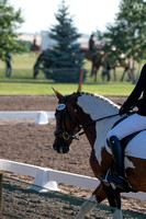 Warzecha, Christine, He's Got Moxie, Sr. Open Novice D