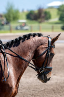 Crocker, Crystal, Kick Start My Heart, Sr. Open Beg. Novice A