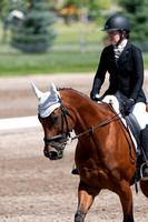 Nash, Rose, Georgia's Gold, Sr. Open Beg. Novice B