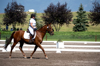 Hedgpeth, Amanda, The Spillikin Fox, Sr. Open Beg. Novice C