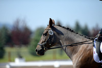 Shamay, Lynne, Briar Rose, Sr. Open Beg. Novice D