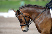 Osborne, Alison, Stjarni, Sr. Open Beg. Novice D