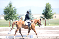 Hansen, Madeleine, Bobby's Scribbler, Jr. Open Beg. Novice