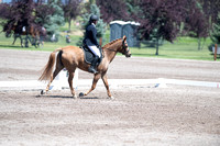 Soule, Zoe, Harmony, Jr. Open Beg. Novice