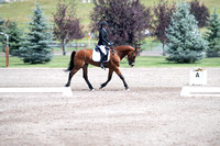 Rhea, Lily, Mugzy, Jr. Open Beg. Novice