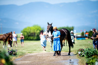 Litton, Alicia, Imperial Striker, Novice Three-Day