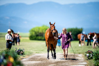 Flettner, Julie, Excel Star Romeo, Training Three-Day