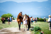 Lerner, Madison, Timeless Empire, Training Three-Day