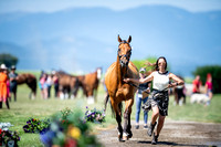 Chism (Crown), Britany, Mr. Popcorn, Novice Three-Day