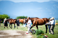 Conroy-Drew, Maeve, Country Playboy, Training Three-Day