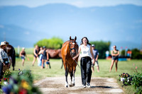 Honeycutt, Elizabeth, Duke's Coverholder, Training Three-Day