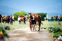 Potts Moore, Isabella, Bryn Carregwen Serendipity, Novice Three-Day