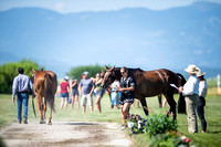 Brown, Rebecca, A.C. Blue-KL, Training Three-Day