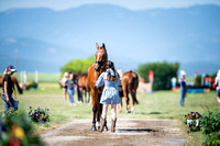 Kraus, Natalie, BB Tyson, Novice Three-Day