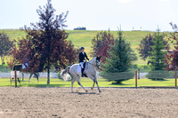 Sumner, Lydia, Gio Star, Sr. Open Training B