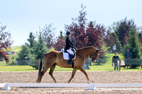 Hammel, Alyssa, Fernhill Jupiter, Sr. Open Training B