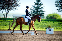 Duda, Molly, Carlingfords Hes a Clover, Open Preliminary B