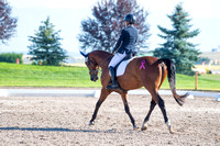 Mitchell, Kendra, Calcourt Legend, Open Preliminary B