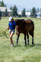 LeMastus, Jackie, Exmoor Denver