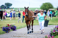 Ashley Carr,Just Because,CCI1*