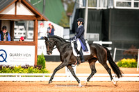 3* dressage Friday