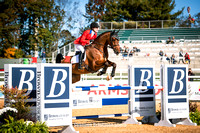 3* show jumping