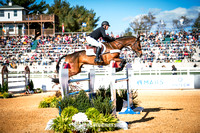 5* show jumping