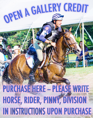 OPEN A Gallery CREDIT-- PLEASE write rider, horse, pinny, division in instructions upon purchase.