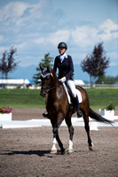 Karen O'Neal and Clooney 14,Sr. Open Training A