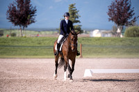 Anna Aronson and Mick Walkabout Joey,Jr. Open Training B