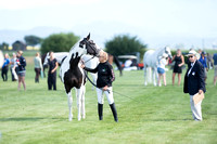 Alice Sarno and Piece of Cake,Training Three-Day A