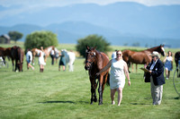 Erin Hofmann and UBQuiet,Training Three-Day B