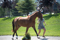 Emma Meehan and Millridge Socrates,CCI2*-Long